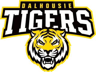 Dalhousie University Athletics logo
