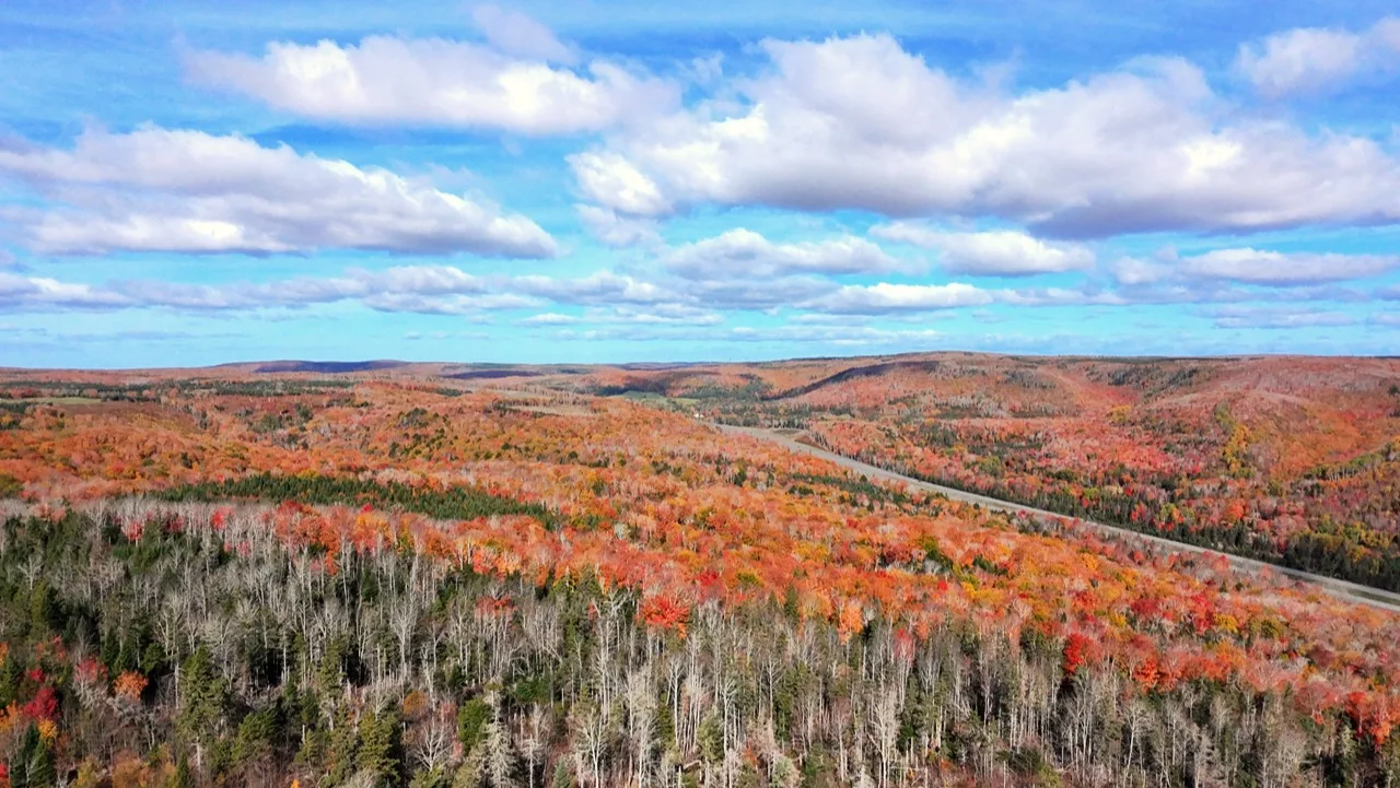 Autumn woodland and rolling hills, with a road beneath a blue, cloud-filled sky.